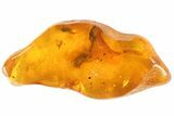 Detailed Fossil Botanical In Baltic Amber #93829-1